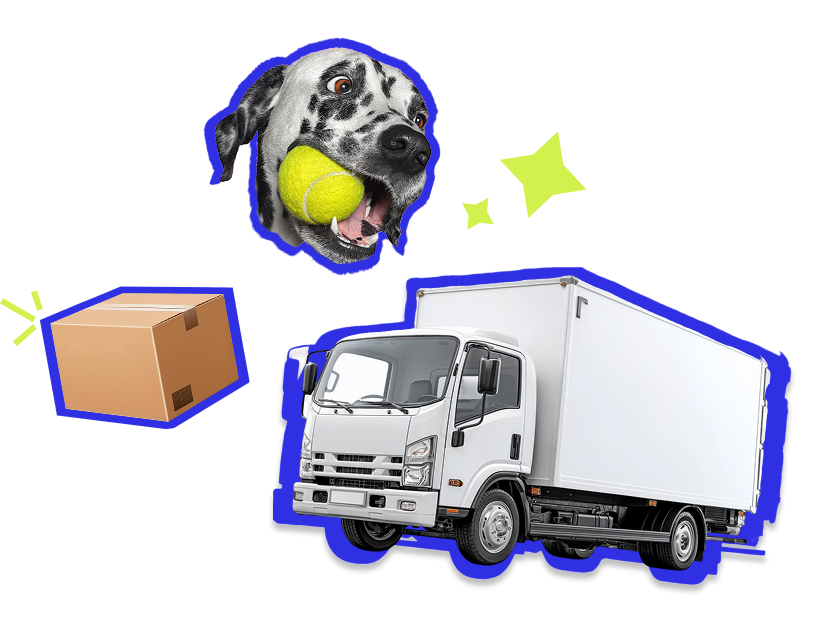 Shipping & Delivery