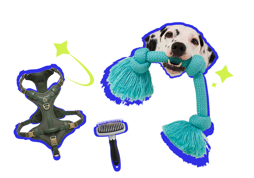 Toys and Accessories