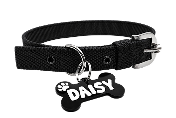 Collar 3