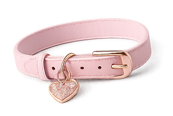 Collar 1