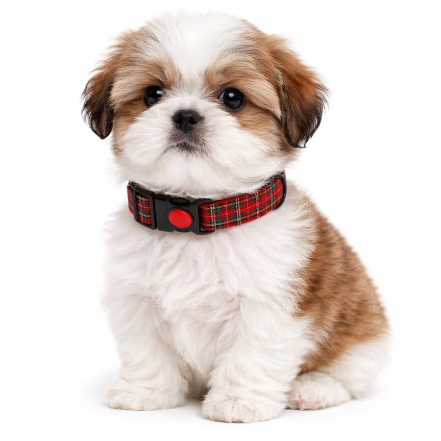 Soft Nylon Safety Lock Collar