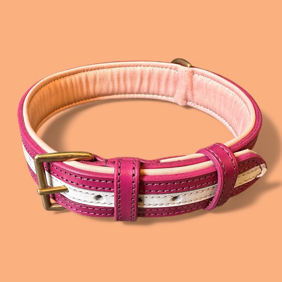 Premium Leather Brass Dog Collar Gear