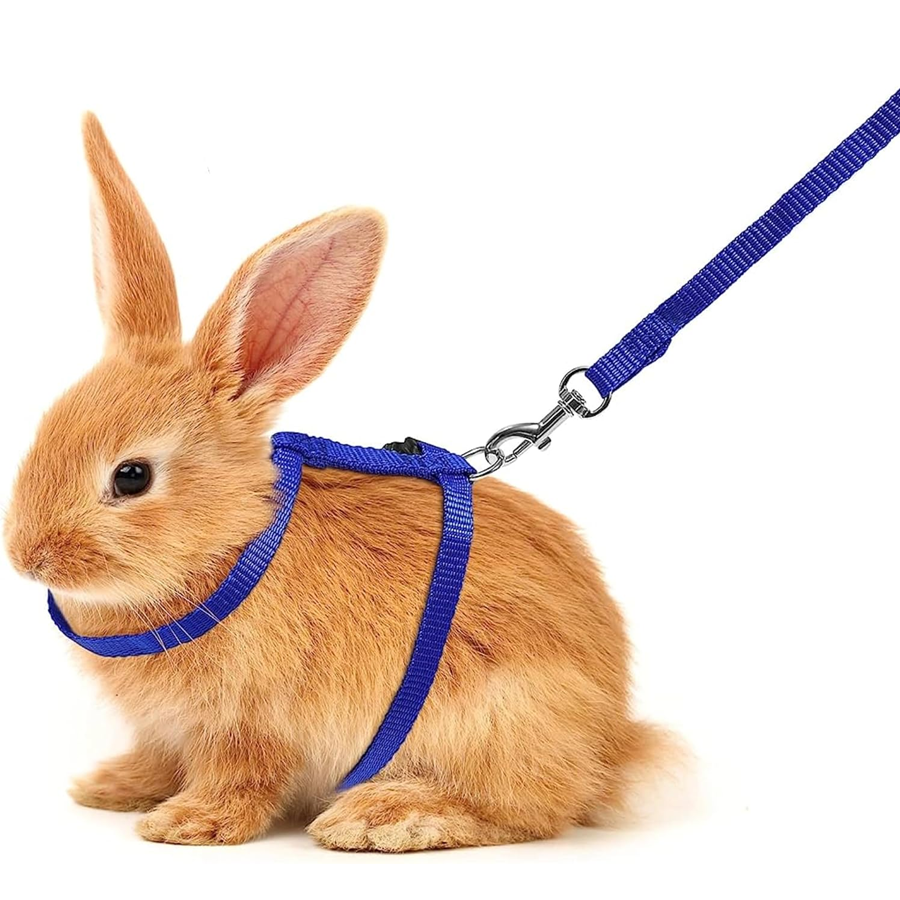 Blue Small Pet Harness Leash Combo