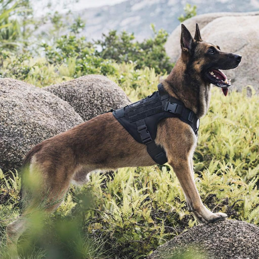 Outdoor Reflective Oxford Dog Vest