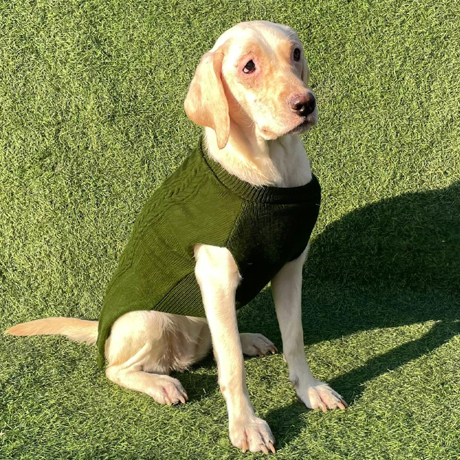 Turtleneck Knitted Dog Winter Sweater