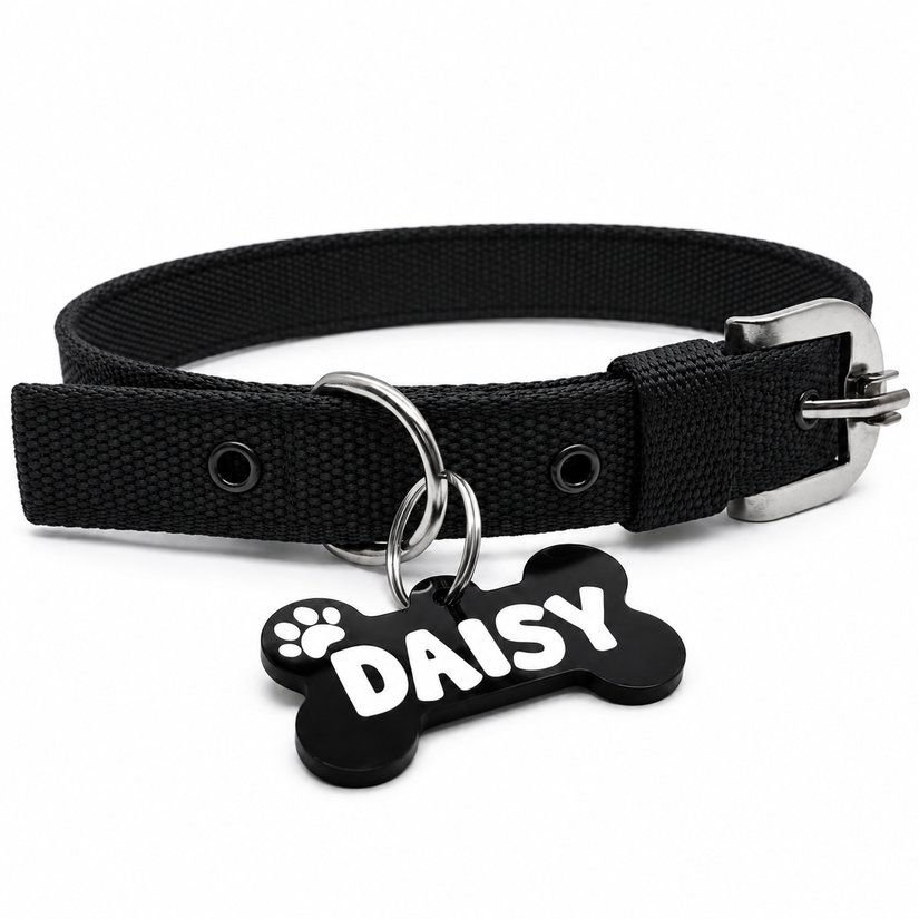 Personalized Bone Tag Dog Collar