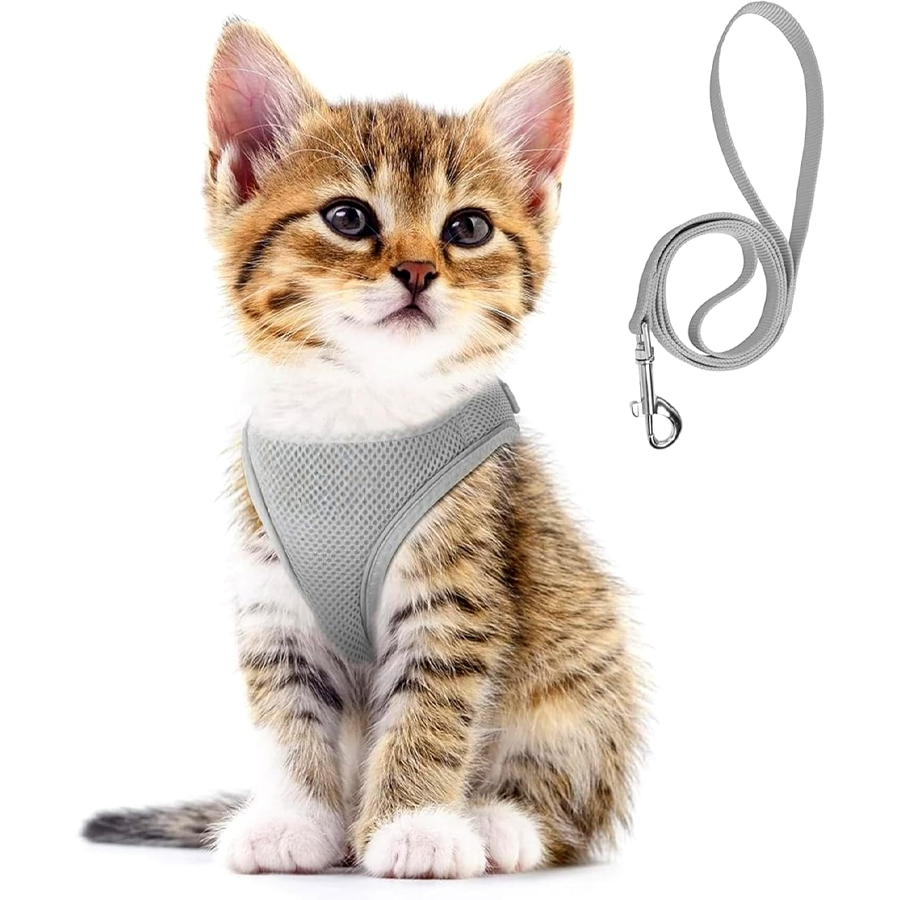Padded Mesh Pet Harness Leash