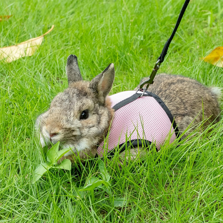 Soft Adjustable Rabbit Harness Leash
