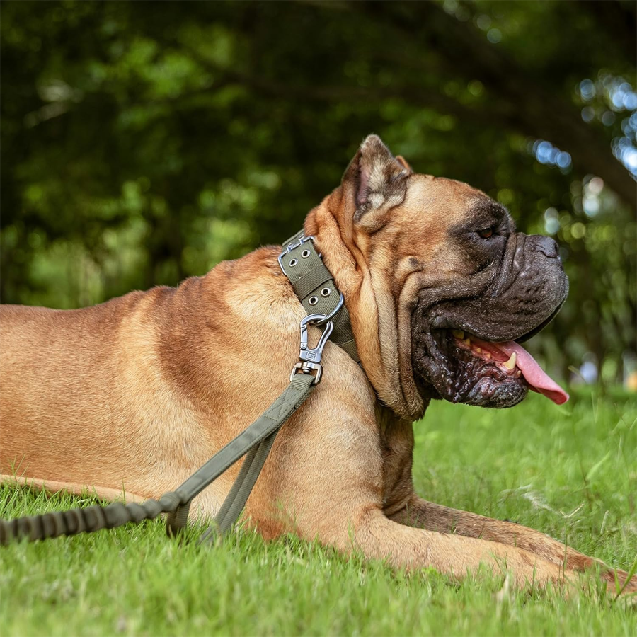 Heavy Duty Tactical Padded Dog Collar