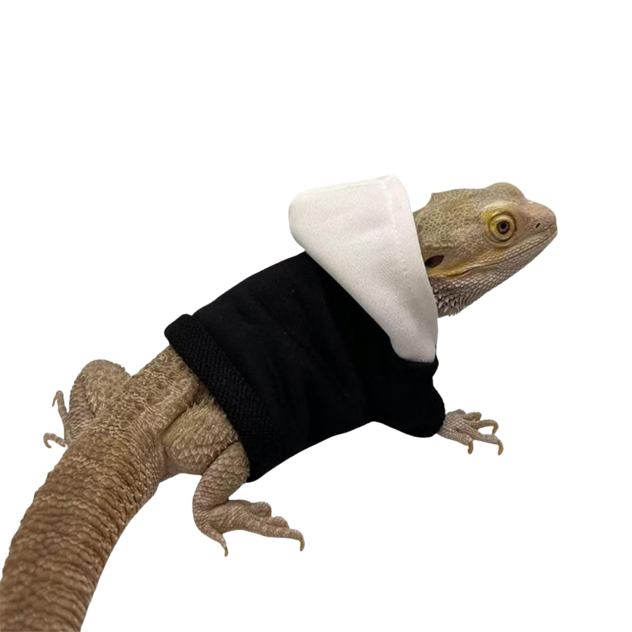 Bearded Dragon Hoodie Sweater
