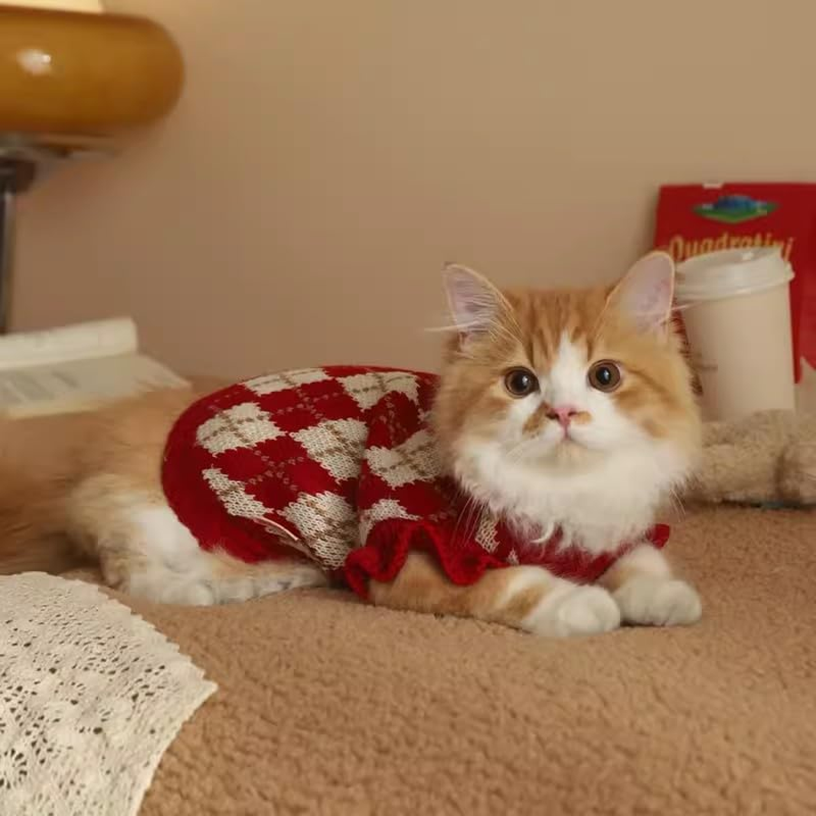 Soft Stretchy Cat Winter Sweater Outfit