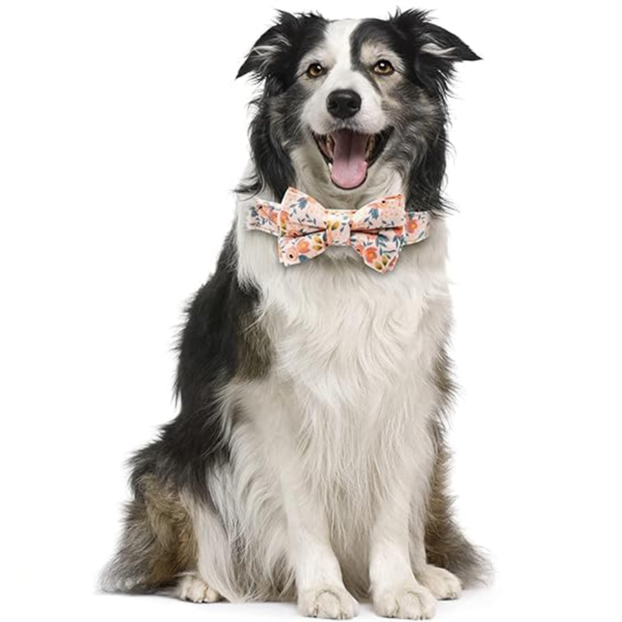Floral Bow Bell Nylon Pet Collar